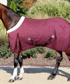 Screenshot-2022-11-07-at-10-16-29