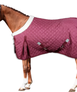 Screenshot-2022-11-07-at-10-17-31