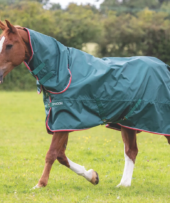 Screenshot-2023-02-03-at-11-06-10