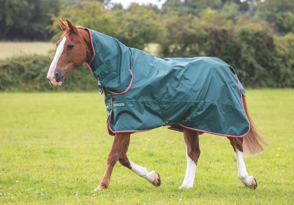 Screenshot-2023-02-03-at-11-06-10