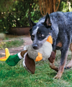 Screenshot-2023-02-16-at-12-37-19