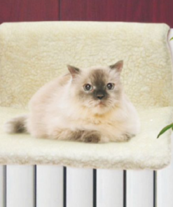 Screenshot-2023-02-16-at-12-40-12