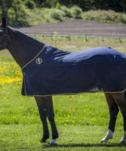 Screenshot-2023-03-09-at-12-59-29