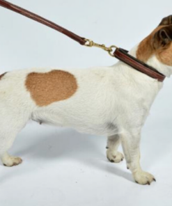 Screenshot-2023-03-15-at-19-17-09