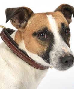 Screenshot-2023-03-15-at-19-19-00