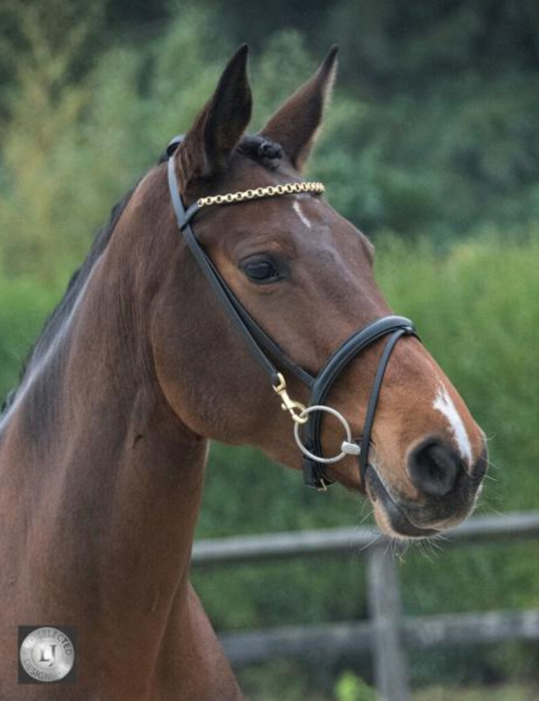 Screenshot-2023-03-15-at-19-27-23