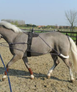 Screenshot-2023-03-15-at-19-33-01