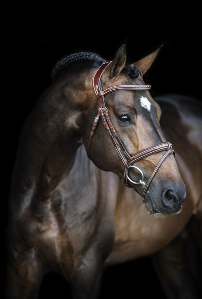 Screenshot-2023-05-01-at-13-39-21