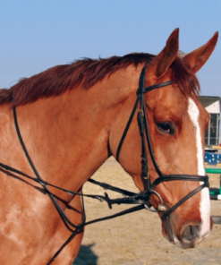 Screenshot-2023-05-17-at-09-11-17