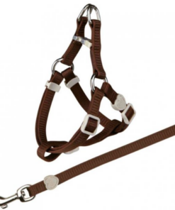 Screenshot-2023-06-21-at-09-50-56