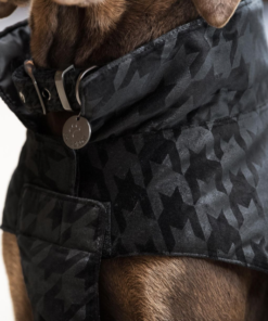 Screenshot-2023-06-21-at-16-21-10