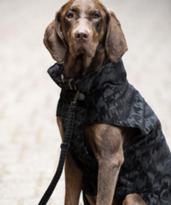 Screenshot-2023-06-21-at-16-21-23-2