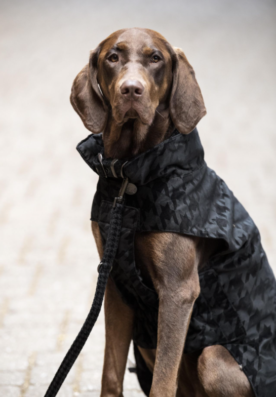 Screenshot-2023-06-21-at-16-21-23-2