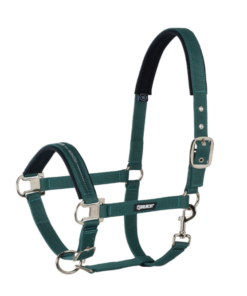 Screenshot-2023-06-21-at-17-19-44