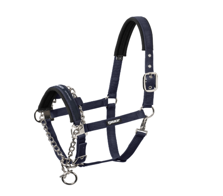 Screenshot-2023-06-21-at-17-23-52