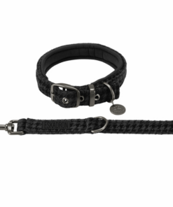 Screenshot-2023-06-21-at-17-27-34