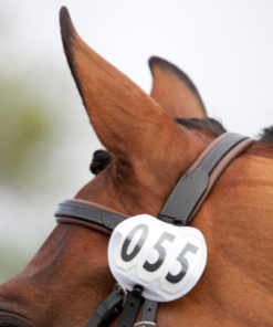 Screenshot-2023-07-03-at-19-54-14