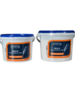 Screenshot-2023-07-03-at-19-54-23