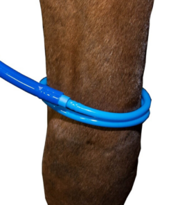 Screenshot-2023-07-11-at-19-11-27