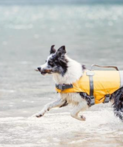 Screenshot-2023-07-24-at-08-04-52