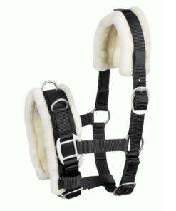 Screenshot-2023-07-29-at-09-29-30