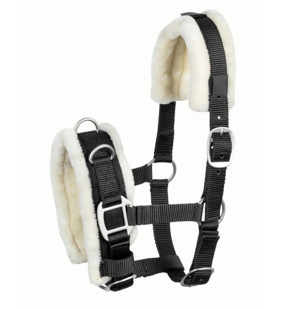 Screenshot-2023-07-29-at-09-29-30