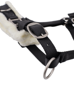 Screenshot-2023-07-29-at-09-29-40