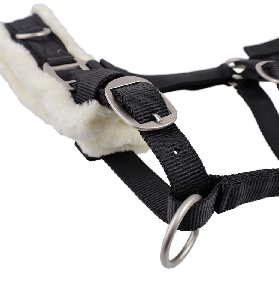 Screenshot-2023-07-29-at-09-29-40