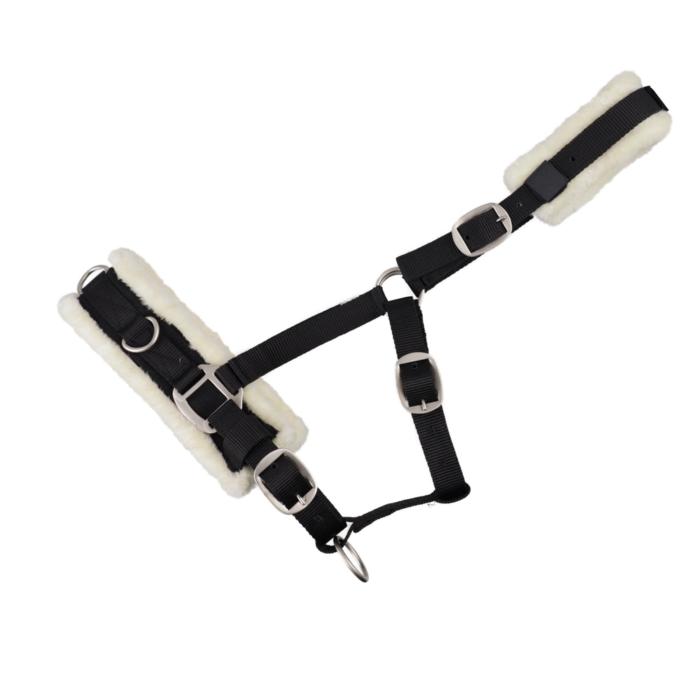 Screenshot-2023-07-29-at-09-29-47