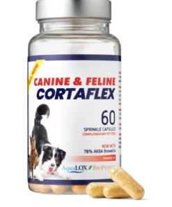 Screenshot-2023-10-09-at-11-56-33