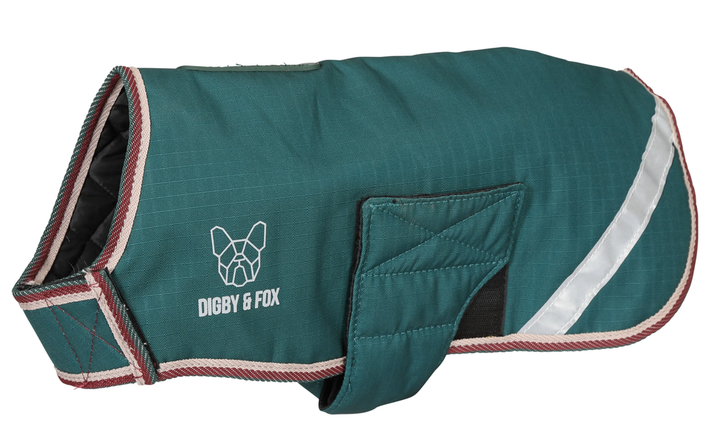 Screenshot-2023-11-11-at-10-38-31