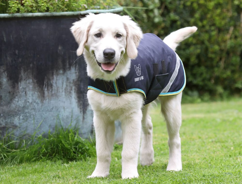 Screenshot-2023-11-11-at-10-39-55