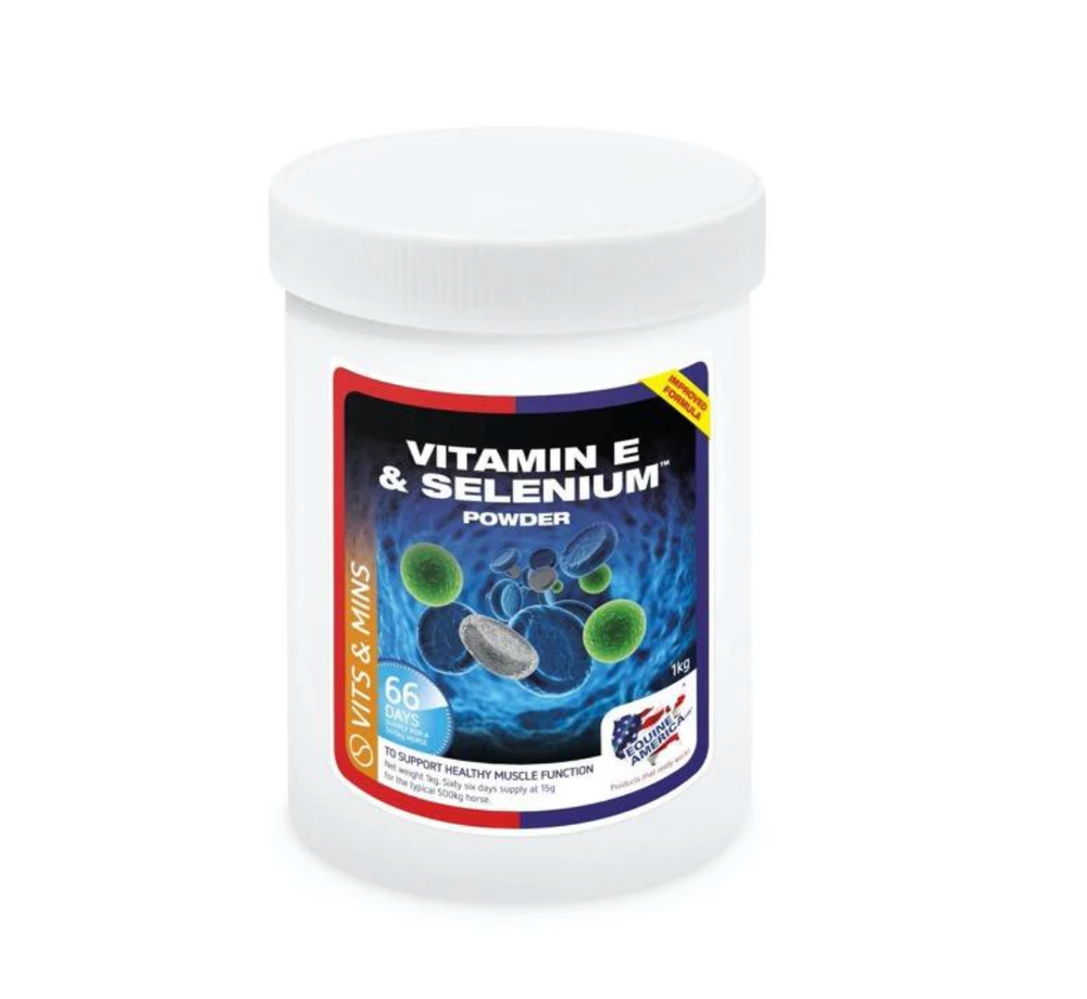 Screenshot-2024-11-29-at-10-09-17