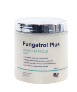 Screenshot-2024-12-03-at-17-31-10