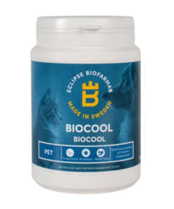 Screenshot-2024-12-08-at-10-37-18