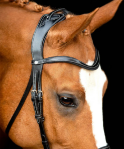 Screenshot-2024-12-09-at-12-37-50