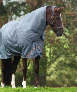 Screenshot-2024-12-16-at-21-47-51