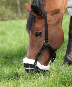 Screenshot-2025-07-03-at-11-25-38