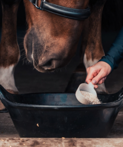 Screenshot-2026-01-23-at-10-46-40