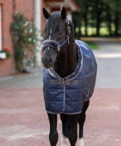 Show-Line-Stable-Rug-457-P4588-600x600