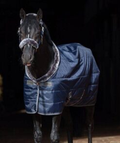 Show-Line-Stable-Rug-457-P4677-600x600