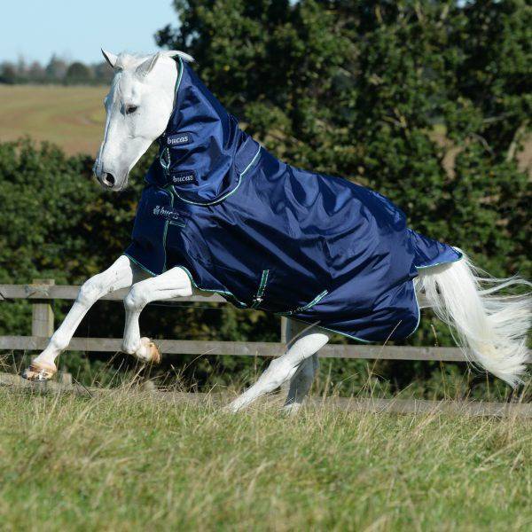 Smartex-Combi-Neck-Blue-8131-1-600x600-4