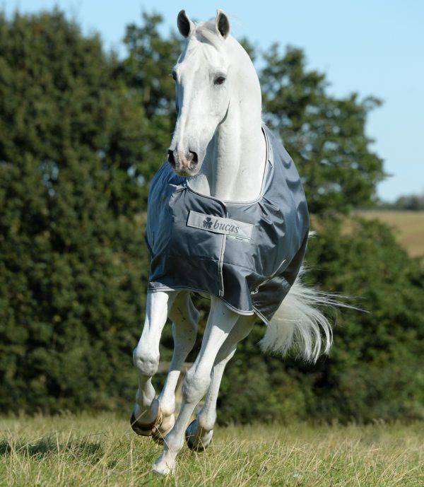 Smartex-Iron-Gate-7667-600x689