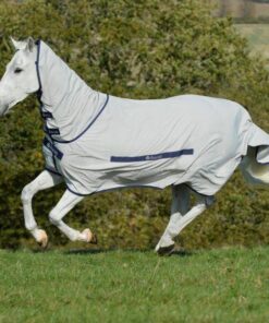 Sweet-Itch-Silver-7999-scaled-600x600