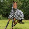 Sweet-Itch-Zebra-7439-2-600x622