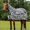 Sweet-Itch-Zebra-7444-2-scaled-600x668