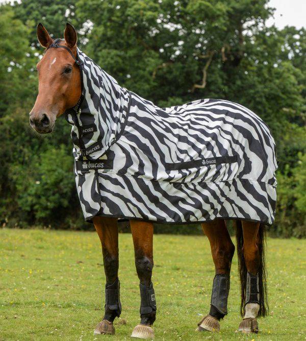 Sweet-Itch-Zebra-7444-2-scaled-600x668