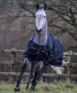 Trot-Turnout-6056-600x728-2