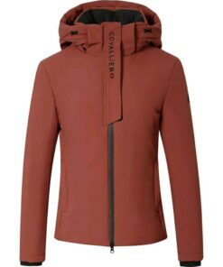 ab7a53bf-f50c-4562-bcd3-746b3d1f08d8-1