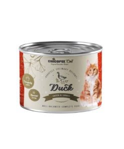 bd3291ccb2336620f87bdef58311866d10c0527538d6742fcc8a1529c531159d-2